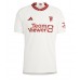 Manchester United Alejandro Garnacho #17 Replica Third Stadium Shirt 2023-24 Short Sleeve
